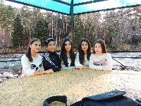 �����������